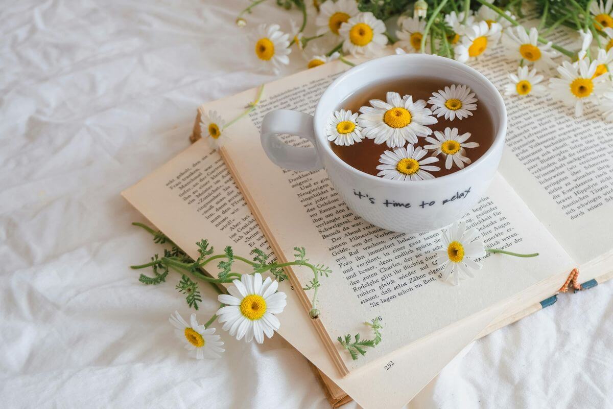 Warm chamomile tea in a cup, a soothing late-night food and drink that promotes relaxation