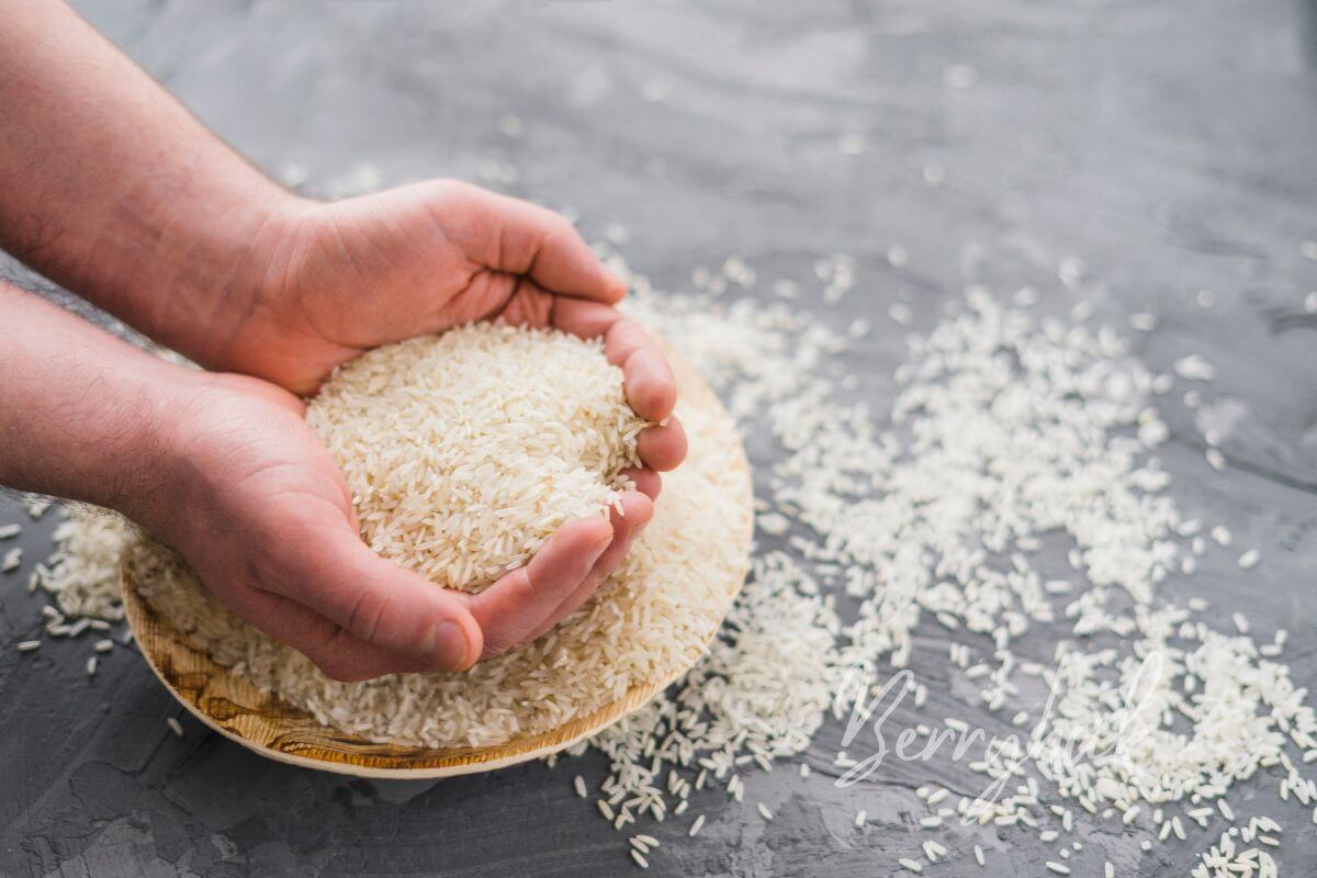 handful of rice scooped from the table before cooking and storing 